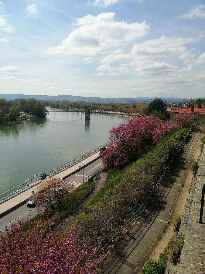 Maison "Le Figuier" Trevoux Climatisee Экстерьер фото
